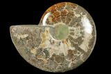 Wide Polished Fossil Ammonite Dish - Inlaid Ammonite #133247-2